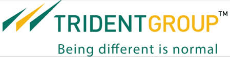 Logo 4